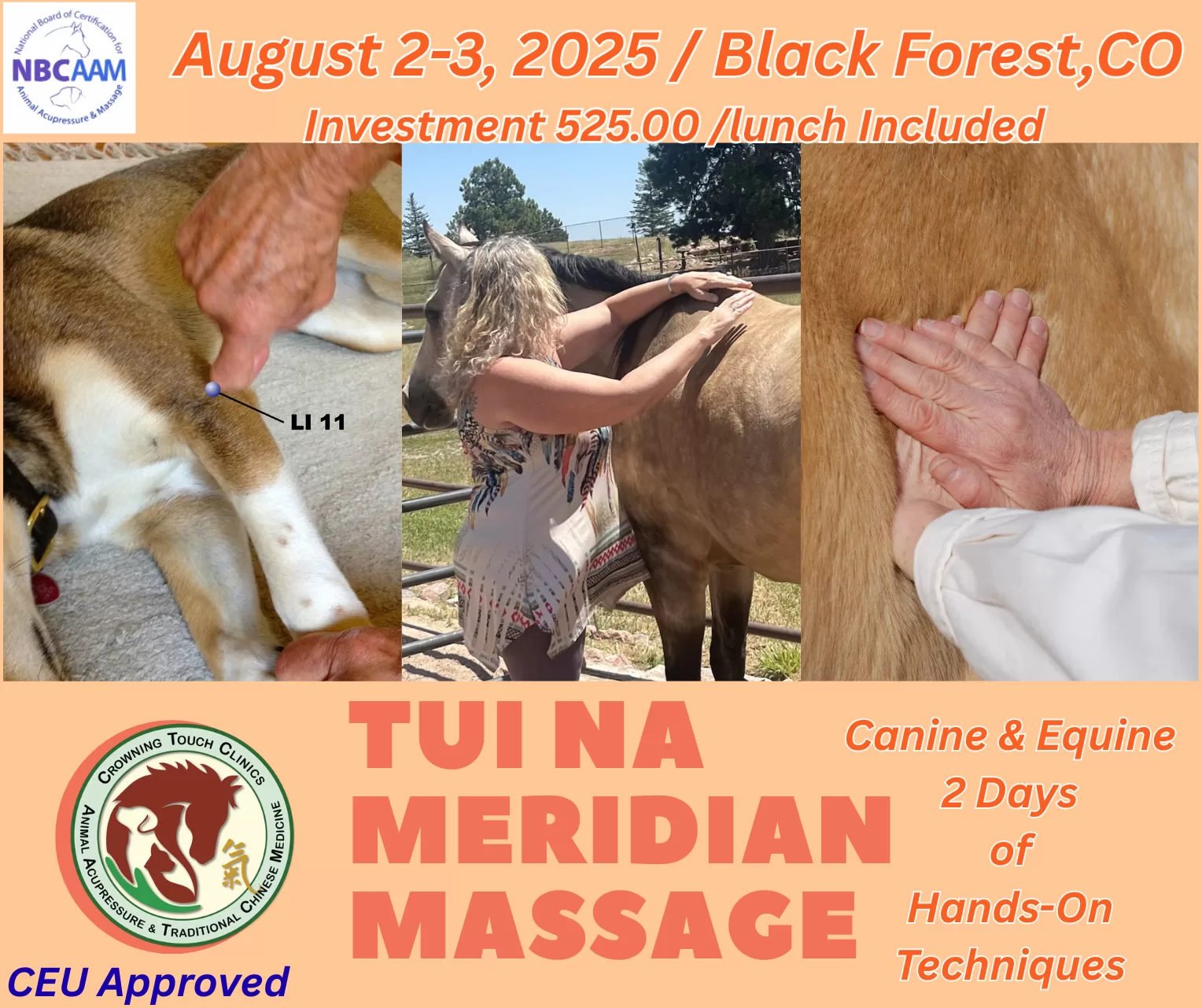 Tui Na Original Meridian Massage (3) (3) Tui Na Original Meridian Massage (3) (3)