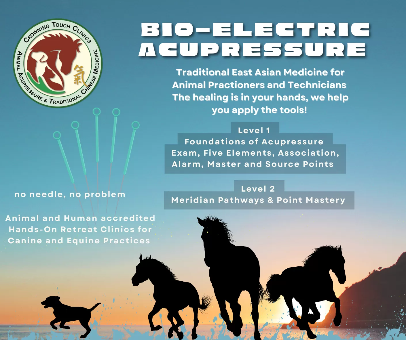 Bio-electric Acupressure Bio-electric Acupressure